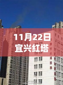 百不获一 第3页