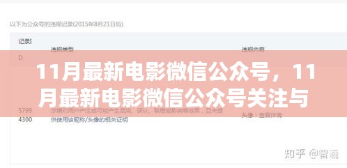 11月最新电影微信公众号关注与使用指南，初学者与进阶用户必备攻略