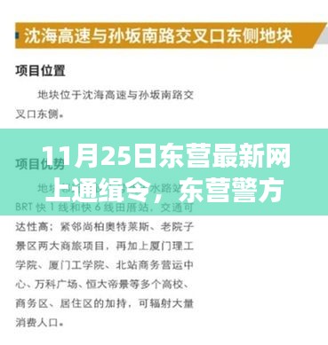 羽扇纶巾 第3页