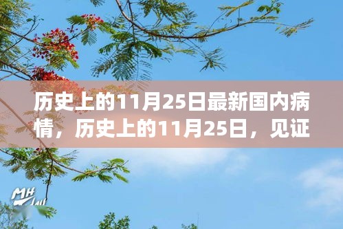独学寡闻 第3页
