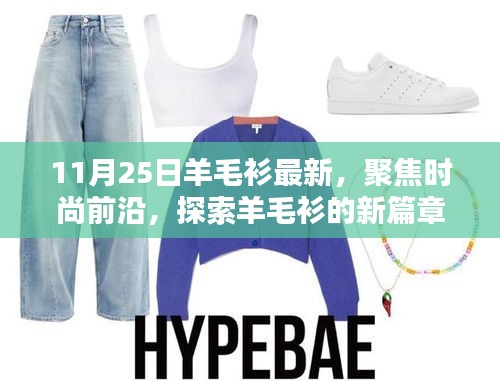 聚焦时尚前沿，探索羊毛衫新篇章——11月25日羊毛衫最新动态