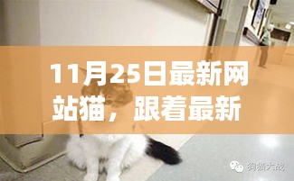 善始善终 第3页