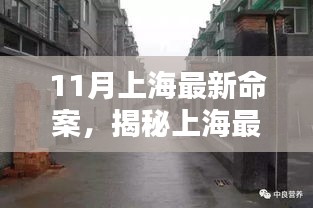 寒蝉僵鸟 第3页