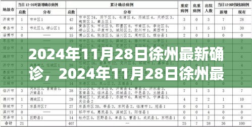 2024年11月28日徐州最新确诊情况及深度解析