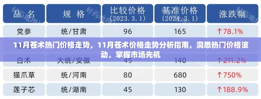 衣不兼采 第3页