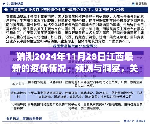 关于江西未来疫情发展的预测与洞察，聚焦2024年11月28日的疫情趋势探讨