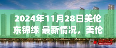 美伦东锦缘最新动态，时光印记下的新篇章（2024年11月28日观察）