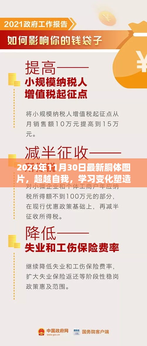 林下风气 第3页