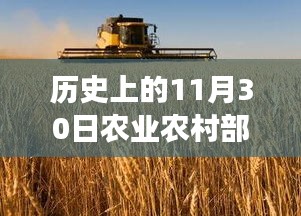 死得其所 第3页