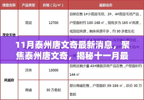 揭秘泰州唐文奇最新动态，聚焦十一月最新消息