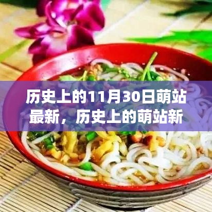 历史上的萌站新纪元，11月30日的独特视角与观点深度探讨