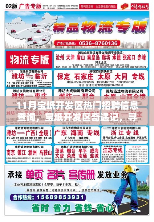 宝坻开发区工作奇遇记，探寻热门职位，感受职场友情的力量