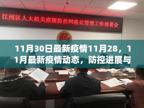 最新疫情动态，防控进展与应对策略（11月28日至11月30日更新）