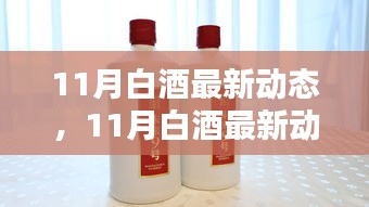 11月白酒动态大全，从入门到精通，关注指南详解