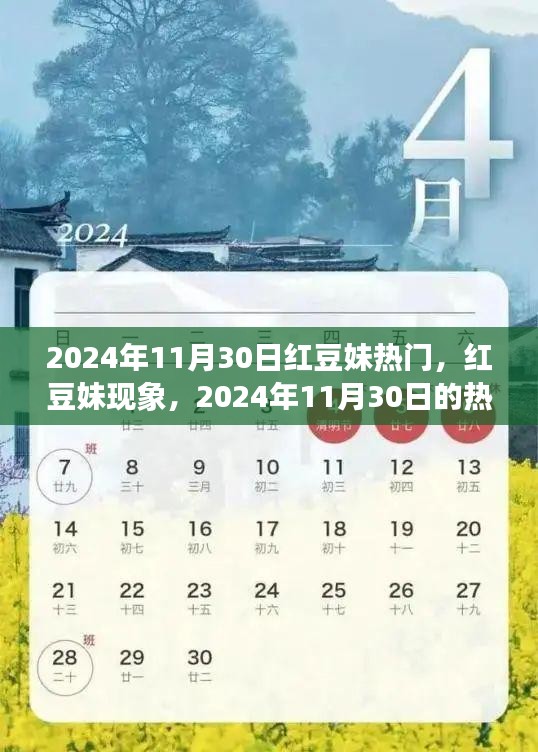 红豆妹现象揭秘，探究背后的热门趋势与影响力，2024年11月30日热议焦点
