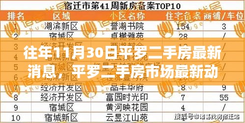 往年11月30日平罗二手房市场动态观察与深度分析，最新消息与市场思考