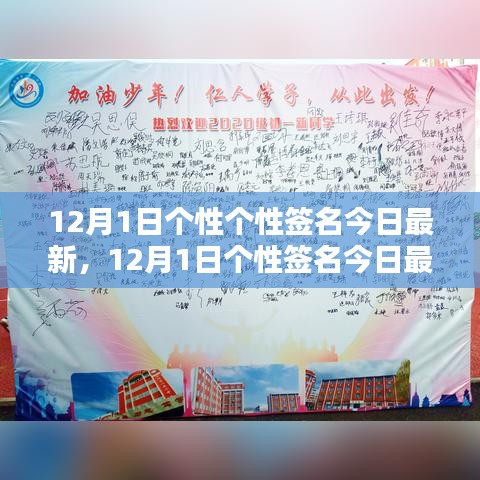 最新个性签名与社会认同，探寻个性表达的新潮流