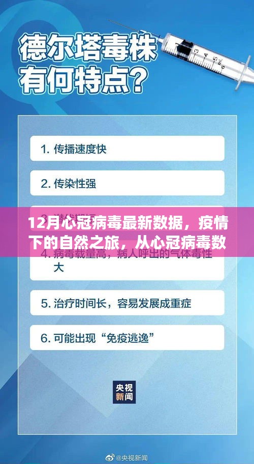 12月新冠病毒数据下的自然之旅探索，疫情中的宁静之美