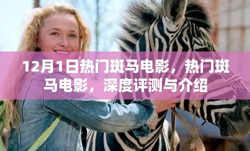 热门斑马电影深度评测与介绍，12月1日不容错过的电影盛宴