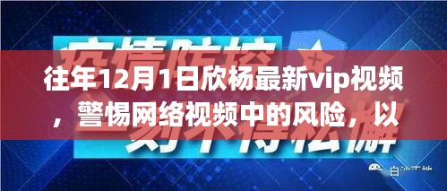 警惕网络视频风险，以欣杨VIP视频为例的探讨