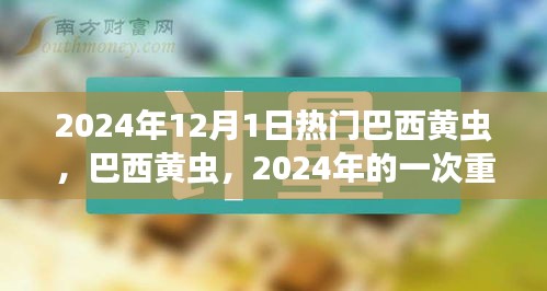 巴西黄虫现象，回顾与领域影响分析