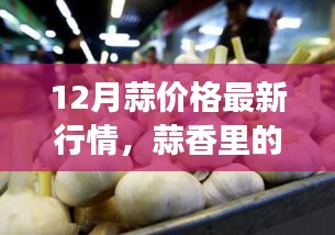 12月蒜价背后的温情与趣事，最新行情与蒜香故事揭秘