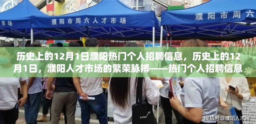 历史上的12月1日濮阳人才市场繁荣脉搏，热门个人招聘信息深度解析