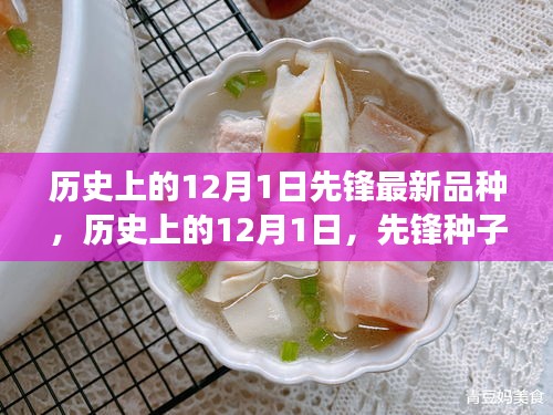 历史上的先锋种子破土而出，变革与自信的塑造之路——纪念历史上的12月1日新种子破土而出日
