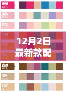 轻徙鸟举 第3页