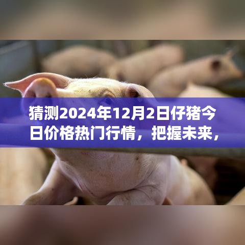 把握未来，洞察行情，2024年仔猪价格预测之旅的自信成长与热门行情分析之路