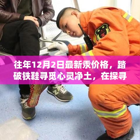 笔走如飞 第3页