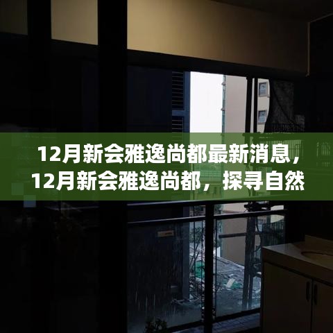 12月新会雅逸尚都，探寻自然美景，重启内心宁静之旅的最新动态