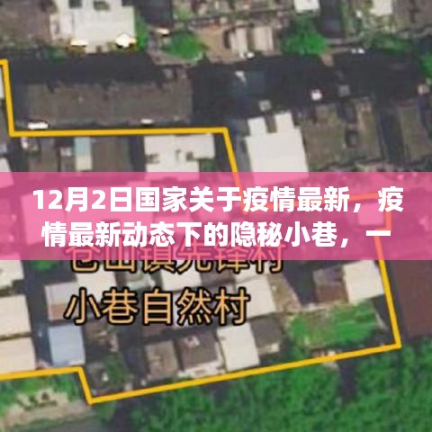 橘虞初梦 第2页
