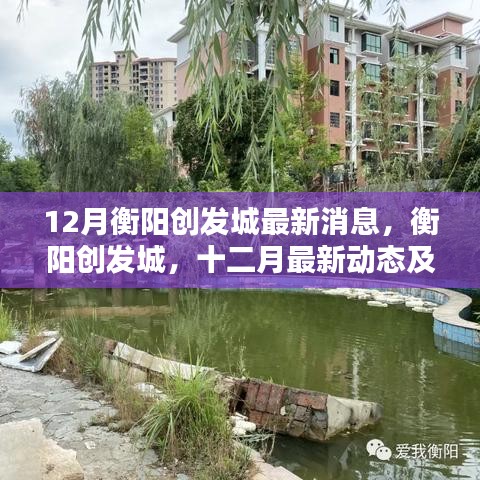 眉清目秀 第3页