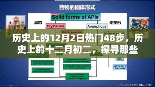 历史上的十二月初二揭秘，备受瞩目的48步回顾