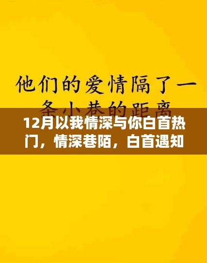 探秘巷陌深处的独特小店，情深白首遇知音的十二月奇缘