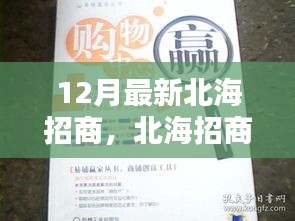 12月北海招商全新攻略，步骤指南助你轻松上手