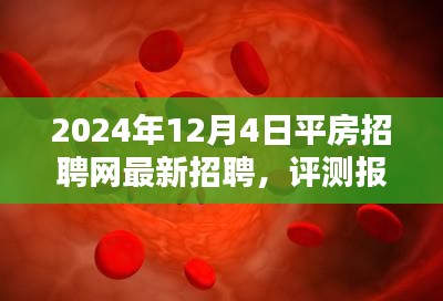平房招聘网最新招聘服务深度解析与评测报告（2024年12月版）
