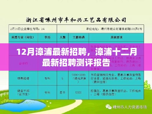 漳浦十二月最新招聘测评报告发布，岗位信息及评价一览