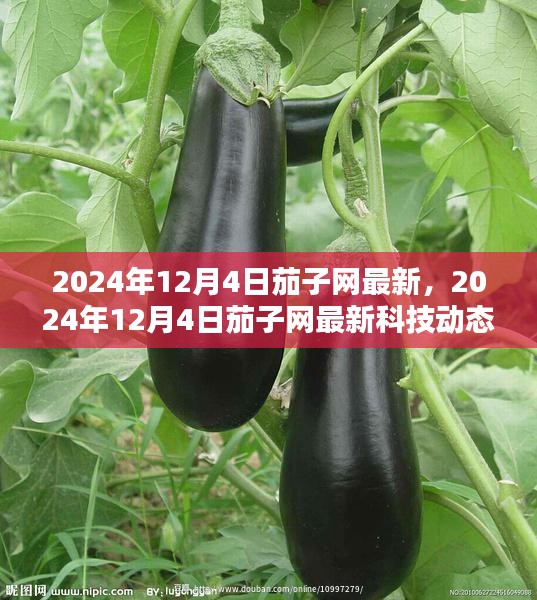云屯鸟散 第3页