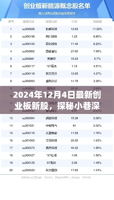 探秘特色小店，最新创业板新股新星非凡之旅（2024年12月4日）