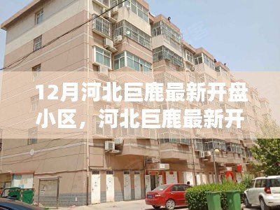 河北巨鹿最新开盘小区，机遇与挑战并存，市场迎来新机遇