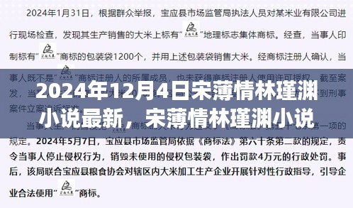 蜕变之路，宋薄情林瑾渊小说的学习之旅与梦想篇章（最新章节）
