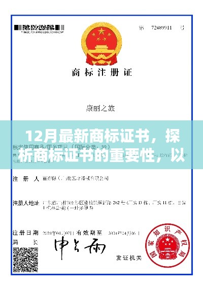最新商标证书的重要性深度探讨，从实例看商标证书的价值与意义