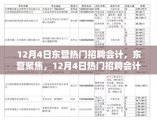 12月4日东营会计招聘盛况回顾，行业聚焦与领域影响