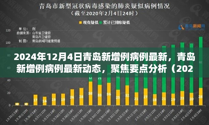 聚焦青岛新增病例动态，最新分析与解读（2024年12月4日更新）