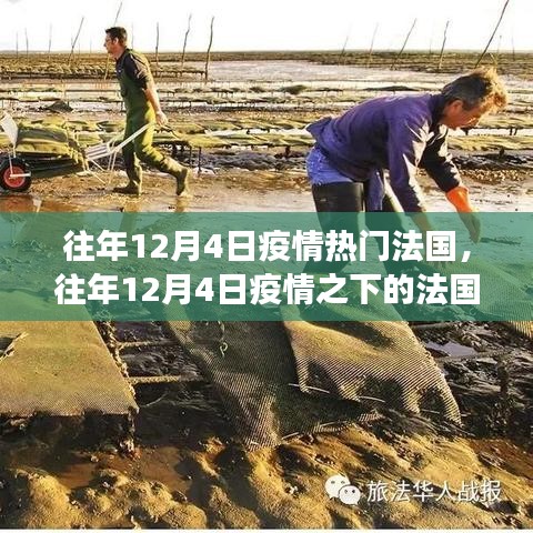 寥若晨星 第3页
