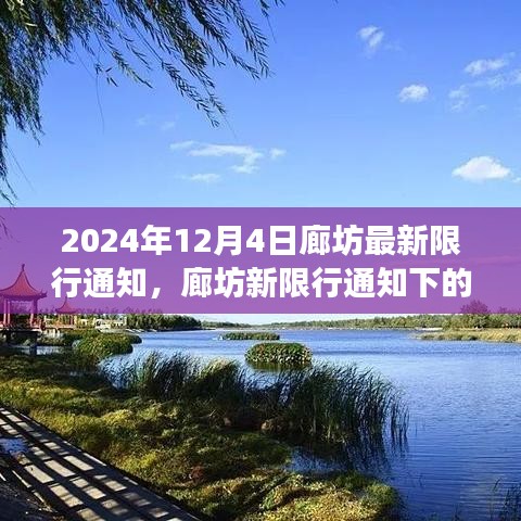 廊坊限行通知下的自然探索之旅，寻找内心的宁静绿洲
