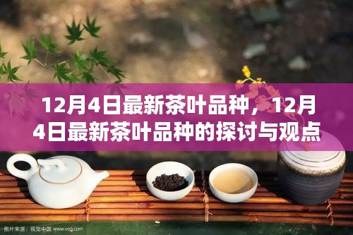 12月4日最新茶叶品种深度探讨与观点阐述