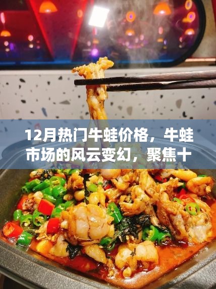 聚焦十二月牛蛙市场风云，热门牛蛙价格背后的故事